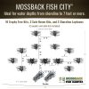 Fish City graphic R logo