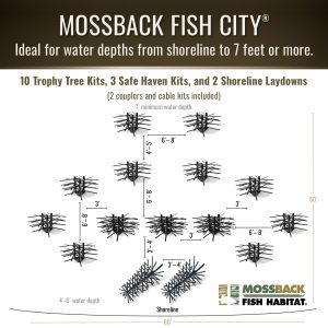 Fish City graphic R logo