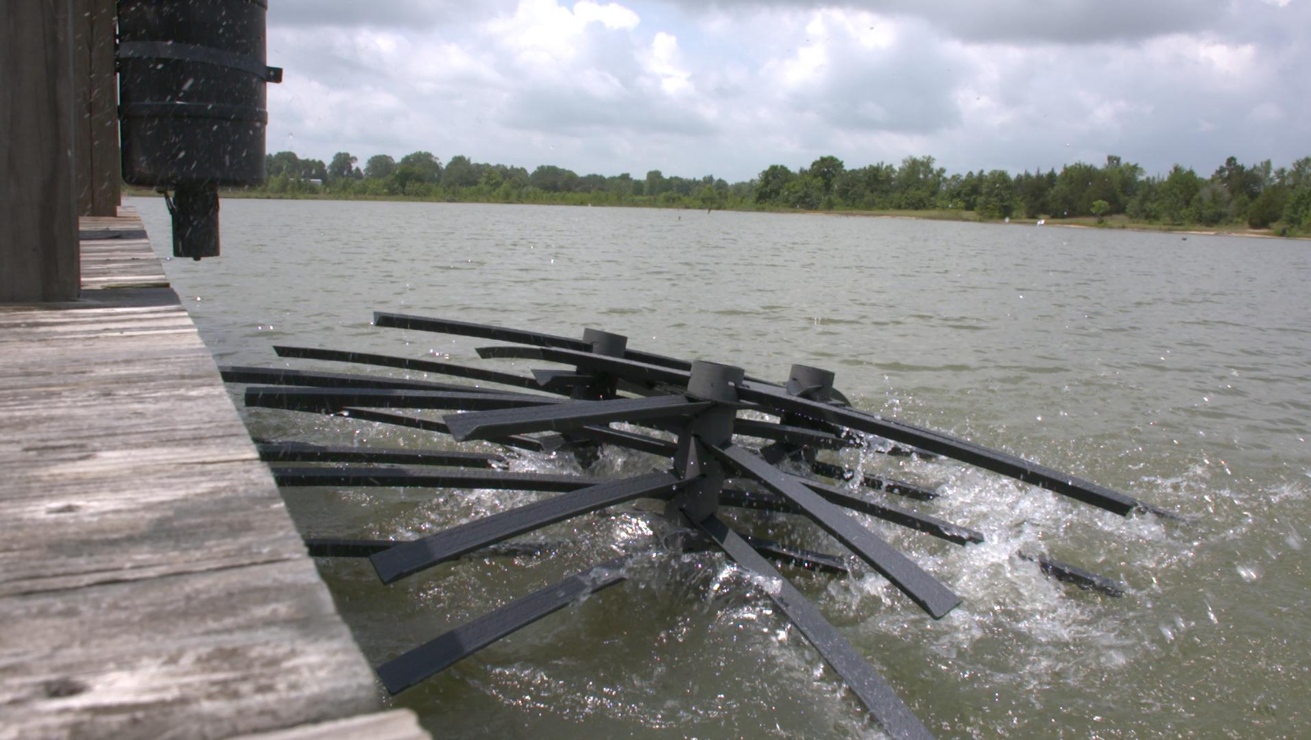 Launching mossback fish habitat