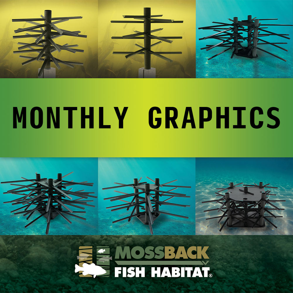Monthly Graphics