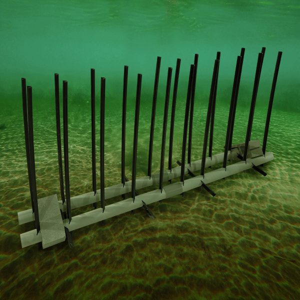 reed rail
