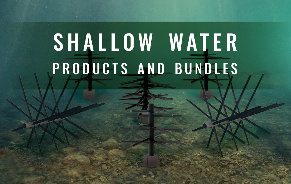 Shallow Water graphic