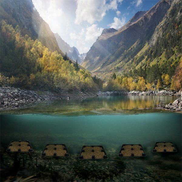 Spawning Bed XL Basic Bundle lake web