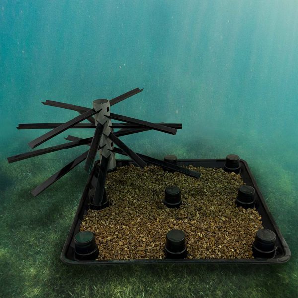 Spawning XL RW corner 1 with gravel lake web