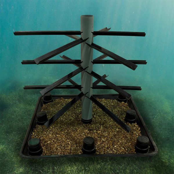 Spawning XL TT center 1 with gravel lake web